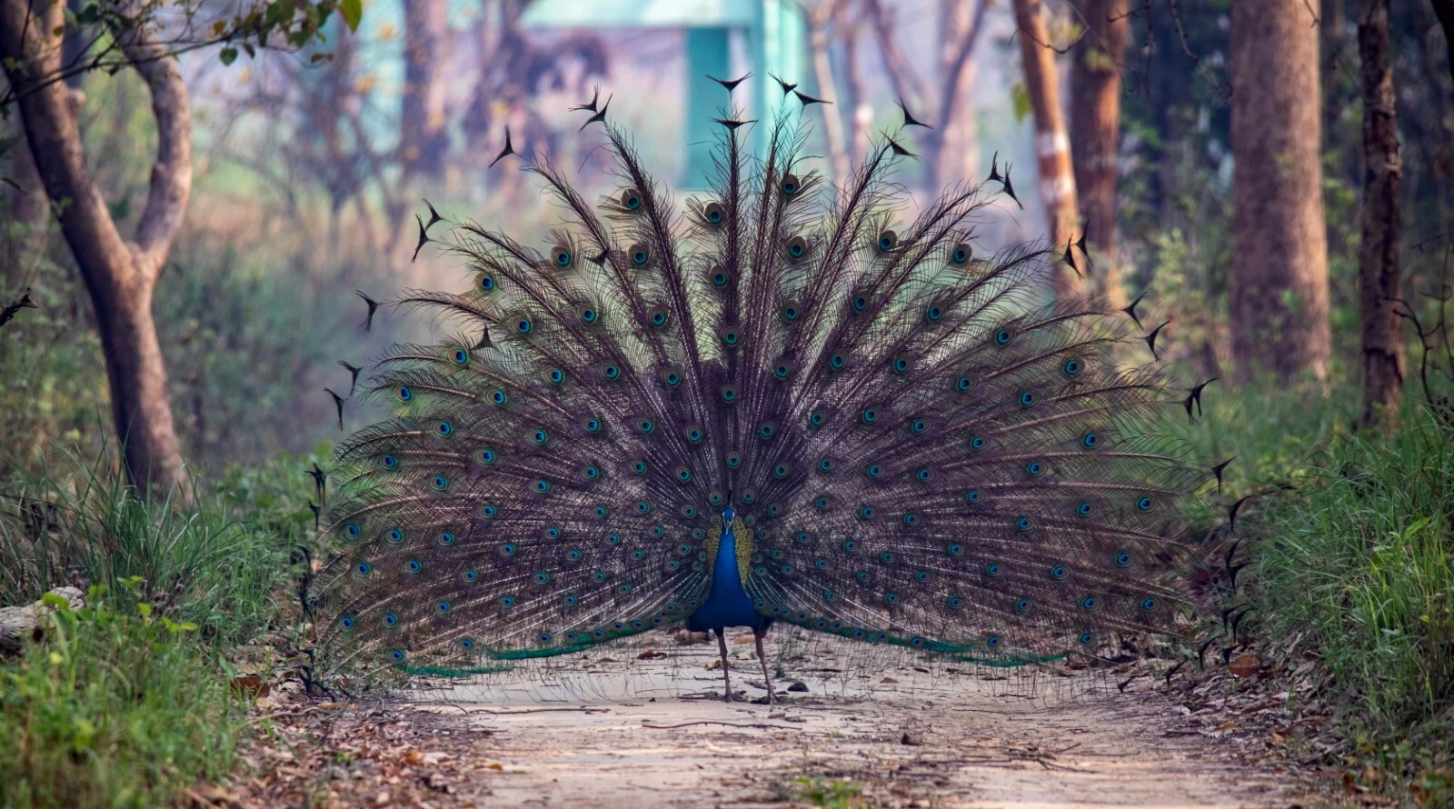 The Incongruences of Pilibhit, Pilibhit, April 2022