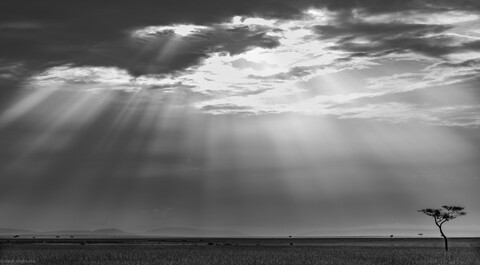 Masai Mara, Kenya, May 2025