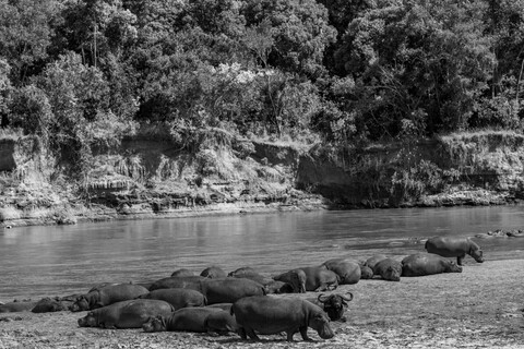 Masai Mara, Kenya, May 2025