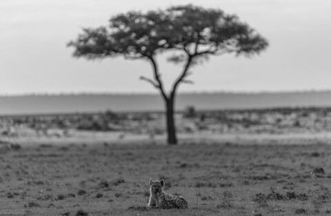 Masai Mara, Kenya, May 2025