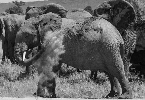 Masai Mara, Kenya, May 2025