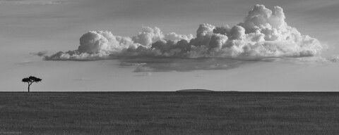 Masai Mara, Kenya, May 2025