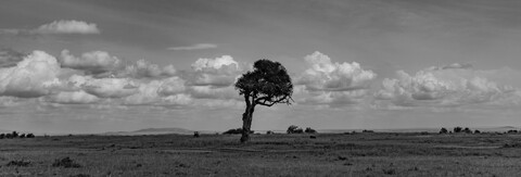 Masai Mara, Kenya, May 2025