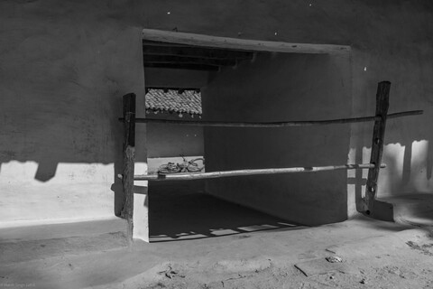 Kanha, Madhya Pradesh, December 2025