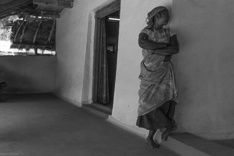 Kanha, Madhya Pradesh, December 2025