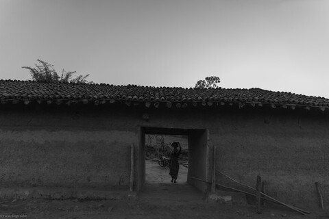 Kanha, Madhya Pradesh, December 2025