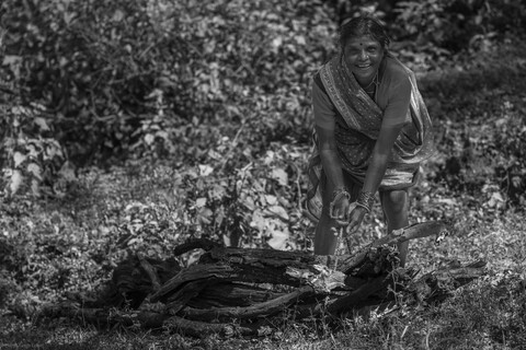 Kanha, Madhya Pradesh, December 2025