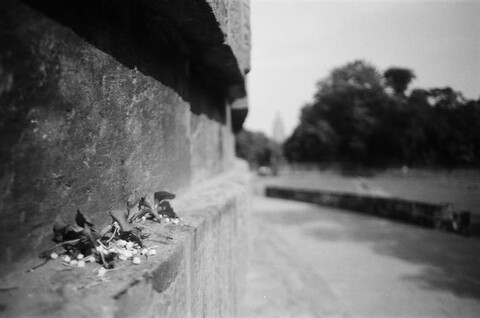 Sarnath, India. October 2004