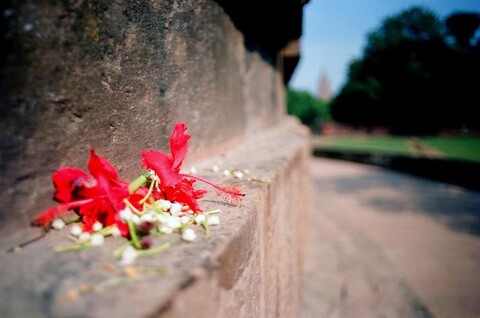 Sarnath, India. October 2004