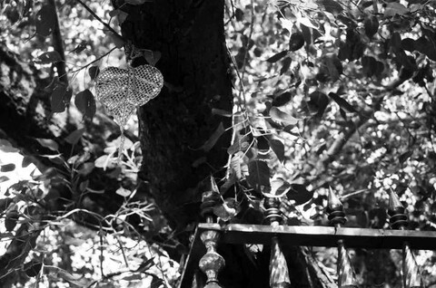Sarnath, India. October 2004