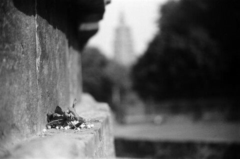 Sarnath, India. October 2004