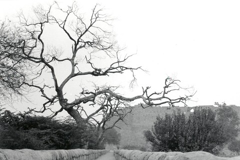 Mehraab Exhibition, Gurgaon. April 2005
