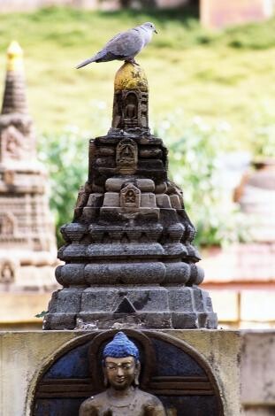 Bodh Gaya, Bihar. November 2006