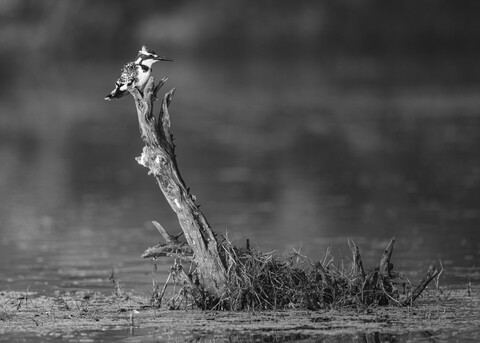 Bharatpur, Rajasthan. January 2025