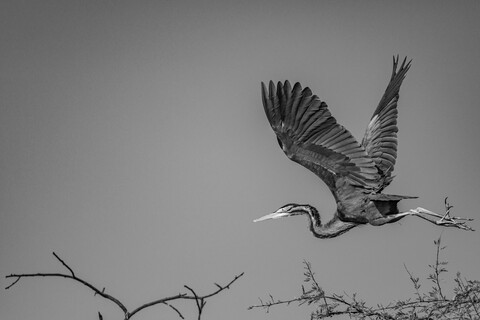 Bharatpur, Rajasthan. January 2025