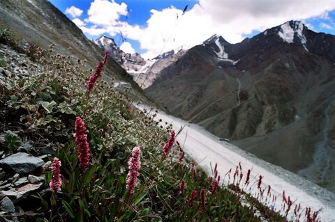 Spiti, Ladakh. August 2006