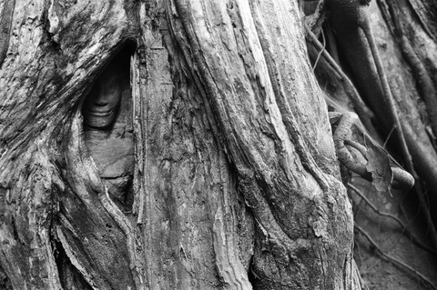 Siem Reap, Cambodia. April 2007