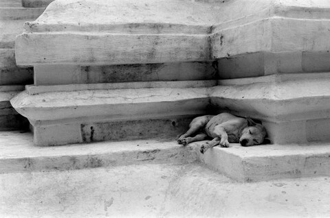 Chiang Mai, Thailand. April 2007