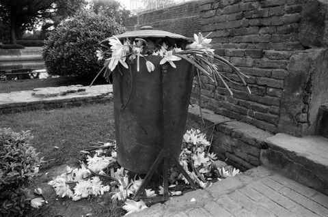 Kushinagar, Uttar Pradesh. September 2007