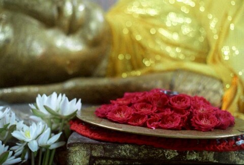 Kushinagar, Uttar Pradesh. September 2007