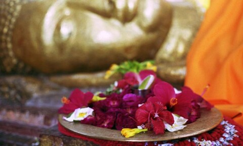 Kushinagar, Uttar Pradesh. September 2007