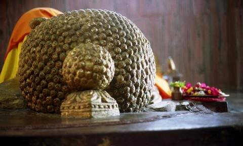 Kushinagar, Uttar Pradesh. September 2007