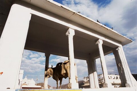 Pushkar, Rajasthan. February 2007