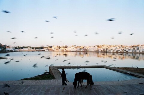 Pushkar, Rajasthan. February 2007