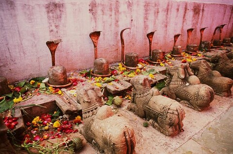 Pushkar, Rajasthan. February 2007