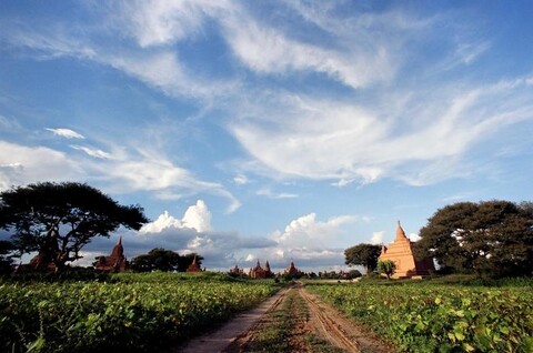 Bagan, Myanmar. October 2008