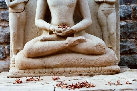 Sanchi, Madhya Pradesh. August 2009