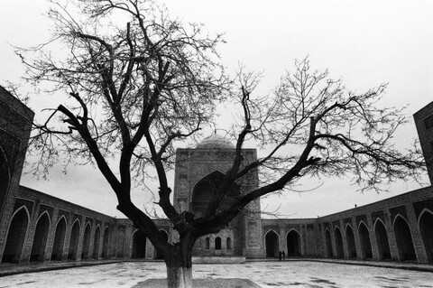 Uzbekistan. March 2009