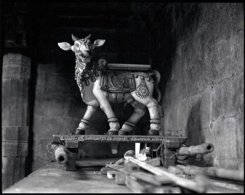 Tamil Nadu, India. August 2011