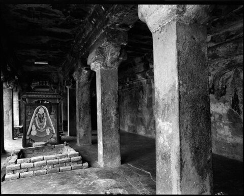 Tamil Nadu, India. August 2011