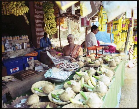 Tamil Nadu, India. August 2011