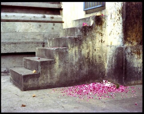 Tamil Nadu, India. August 2011