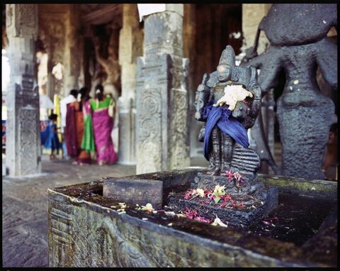 Tamil Nadu, India. August 2011