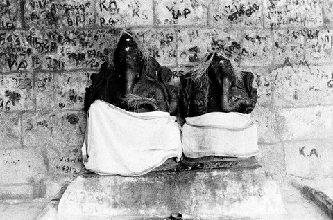 Tamil Nadu, India. August 2011