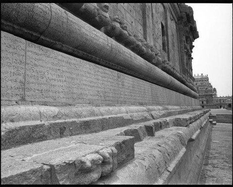 Tamil Nadu, India. August 2011