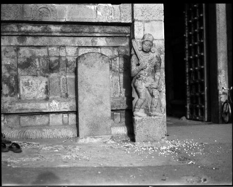 Tamil Nadu, India. August 2011