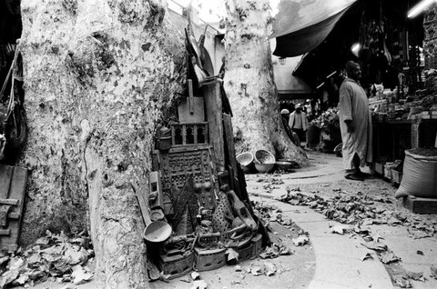 Morocco. November 2011