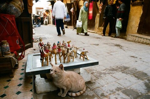 Morocco. November 2011