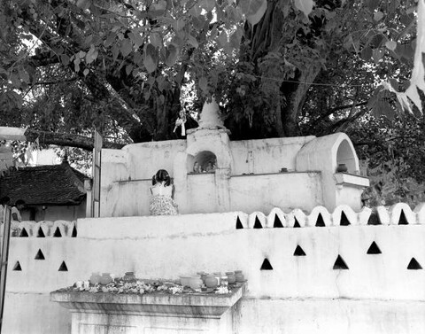 Sri Lanka. December 2012