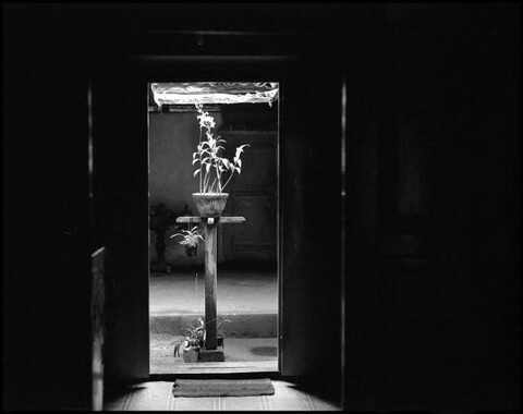 Sri Lanka. December 2012