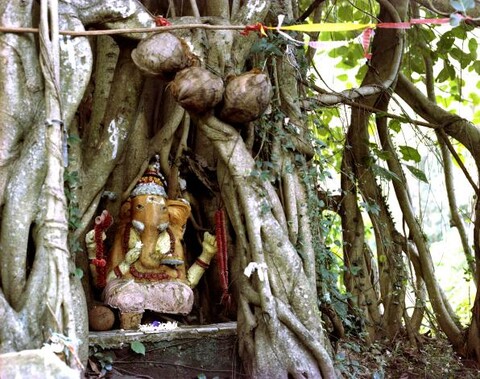 Sri Lanka. December 2012