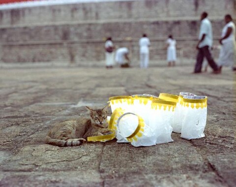 Sri Lanka. December 2012
