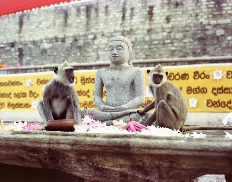 Sri Lanka. December 2012