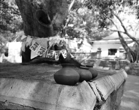 Sri Lanka. December 2012