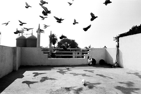 Lucknow, Uttar Pradesh. February 2014