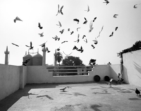 Lucknow, Uttar Pradesh. February 2014